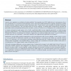 SX2_V2L_Gonzales&al_Abstract_DekaWP_Mag13.ita